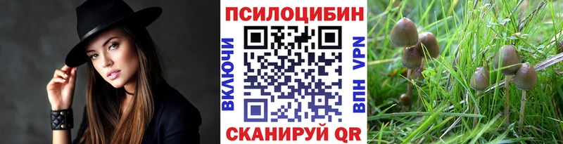наркотики  Иркутск  Галлюциногенные грибы Psilocybine cubensis 